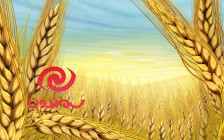 سمندون یک سایت وردپرسی است