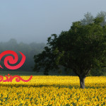 سمندون یک سایت وردپرسی است