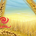 سمندون یک سایت وردپرسی است