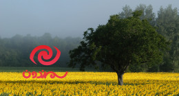 سمندون یک سایت وردپرسی است