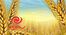 سمندون یک سایت وردپرسی است