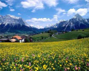 190nature Wallpapers[1]